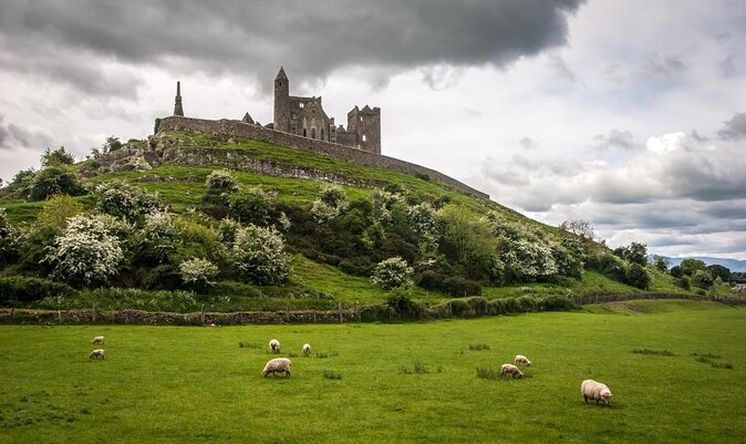 Dublin to Rock of Cashel, Cork City & Blarney Castle Guided Tour - Key things to know before you go