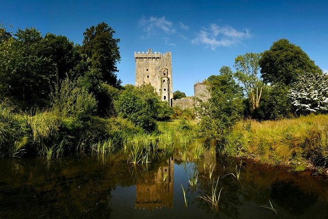 Dublin to Rock of Cashel, Cork City & Blarney Castle Guided Tour - Price and value: what you pay for and where your money goes