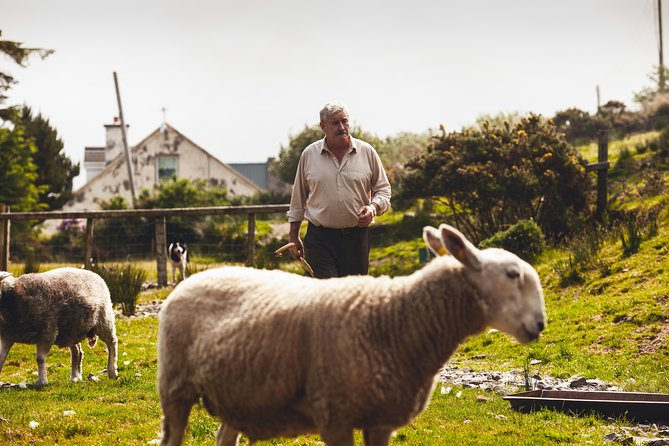Dublin to South West 5 Day Small-Group Tour with Accommodation - Key highlights in plain terms