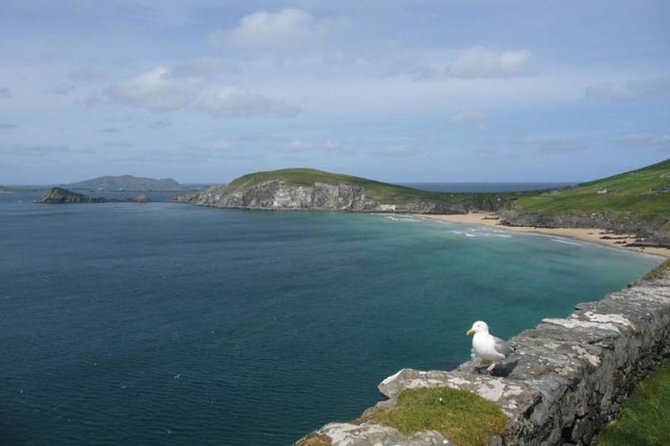 Dublin to South West 5 Day Small-Group Tour with Accommodation - Where you sleep in Galway and Killarney, and what that means in real life