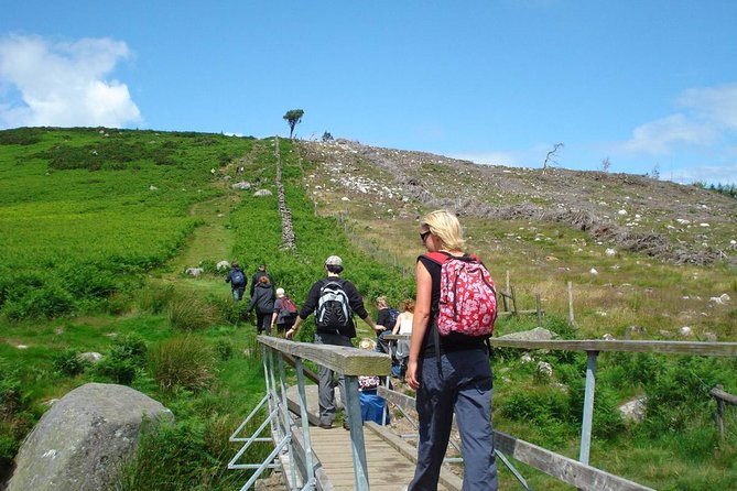 Dublin to Wicklow, Glendalough Small Group Tour with Guided Walk - Sally Gap and Guinness Lake: the scenic photo stops you actually remember