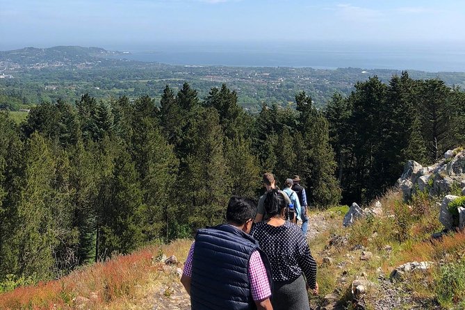 Dublin to Wicklow, Glendalough Small Group Tour with Guided Walk - The van ride, pacing, and why the day can feel like a choreography