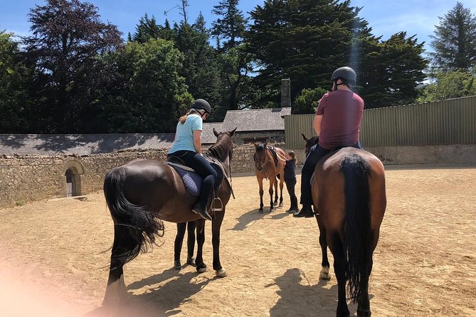 Dublin to Wicklow, Glendalough Small Group Tour with Horse Riding - What small-group travel feels like, and why the pace can pinch