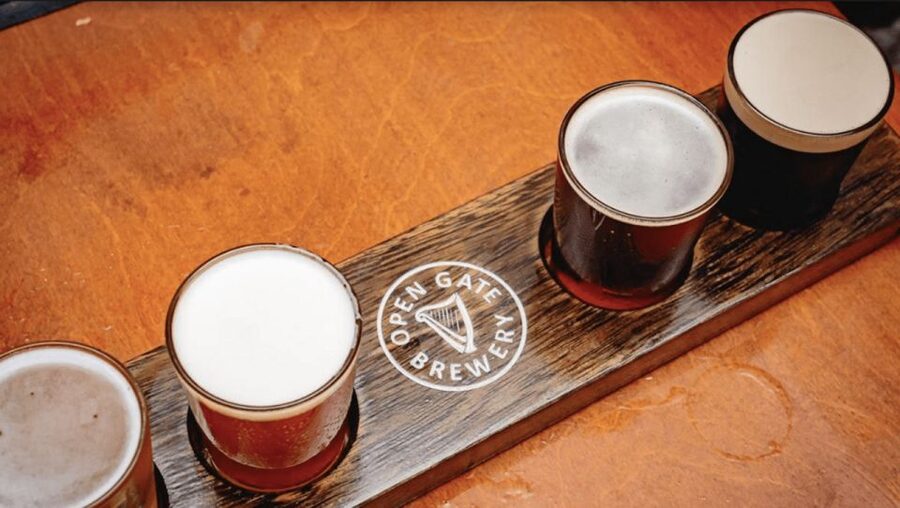 Dublin: Traditional Pubs Walking Tour with Local Guide - What you’ll drink: stout, whiskey, local ales, and cider
