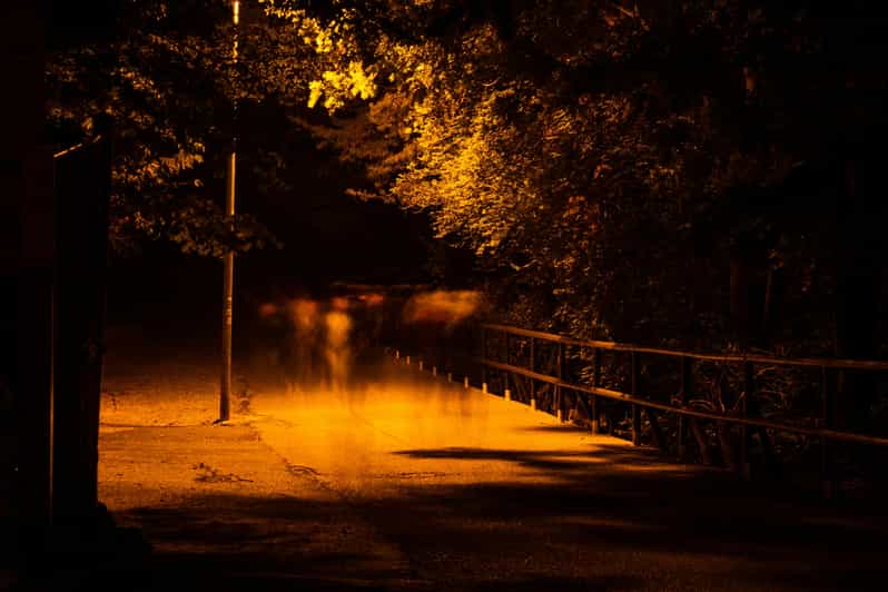 Dublin walking tour: ghosts & haunted places - Key things to know before you go