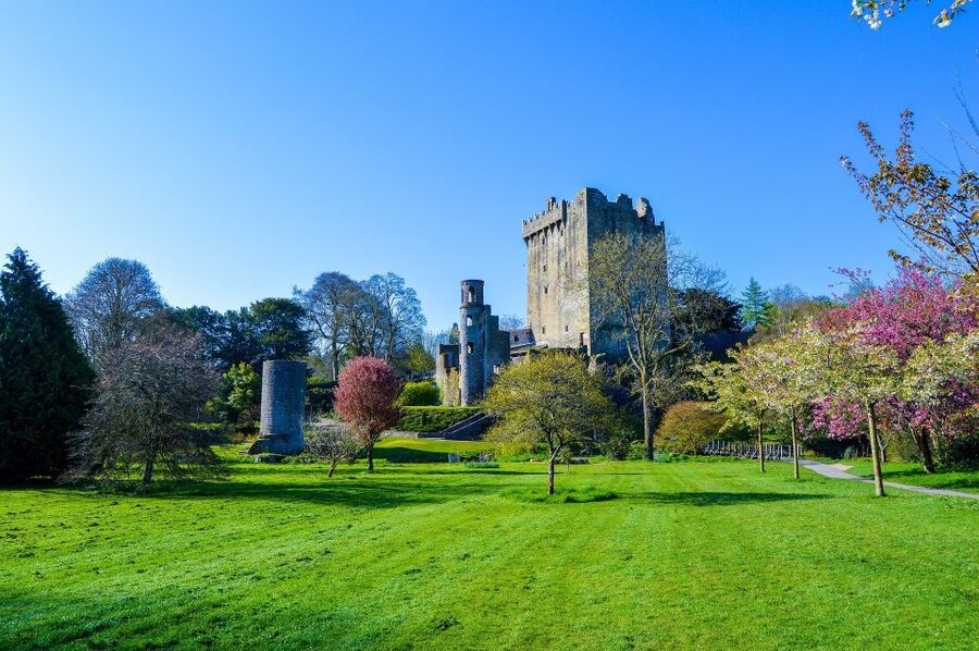 From Dublin: 3-Day Cork, Ring of Kerry, Ciffs of Moher Tour - Blarney Castle and Cork City time: what to do when you have limited hours