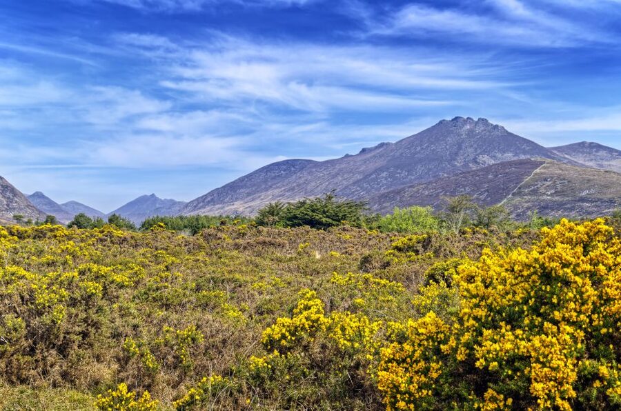 From Dublin: 3-Day Discover Northern Ireland Tour - Comfort, group size, and pacing you should expect