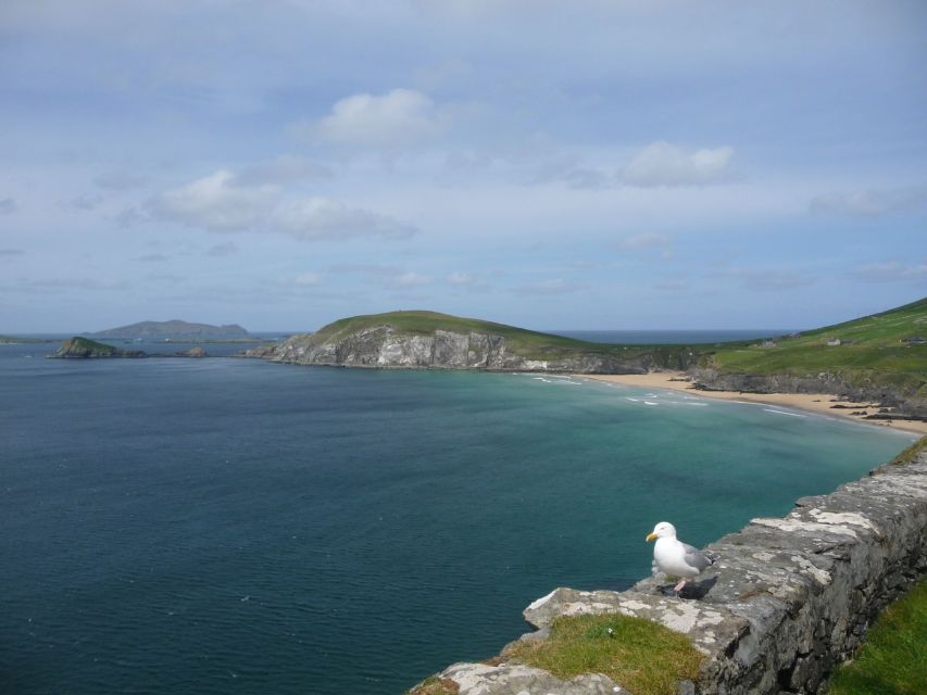 From Dublin: 5-Day Tour to the Southwest with Accommodation - Cliffs of Moher Cliff-Top Trails: Where the Wind Has a Job