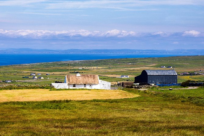 From Dublin: Cliffs of Moher, Bird of Prey & Aillwee Cave - Fanore lunch stop at O’Donohue’s Pub: simple, local, and not included