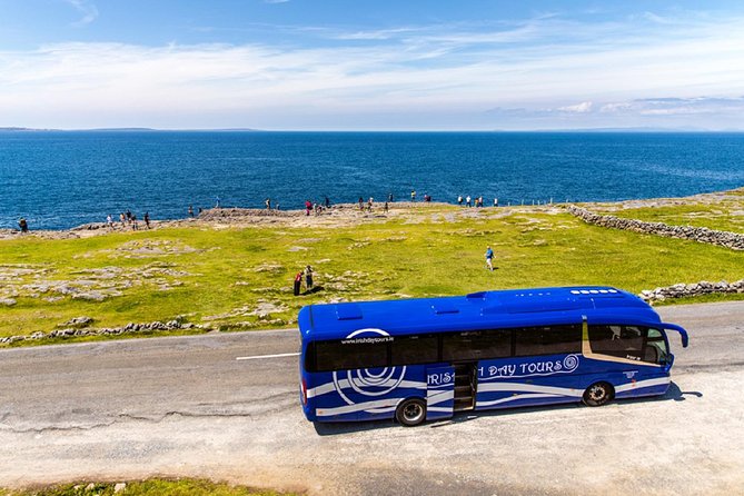 From Dublin: Cliffs of Moher, Bird of Prey & Aillwee Cave - Meeting point, timing, and why the day can run long