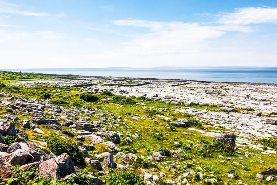 From Dublin: Cliffs of Moher, Burren & Galway City Day Tour - Price and value: why $89 can work for the right traveler