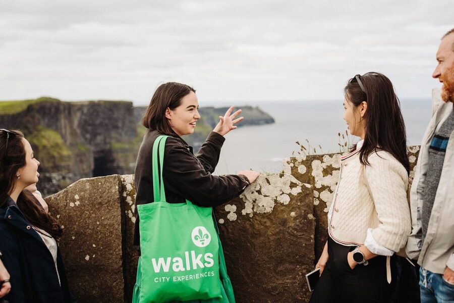 From Dublin: Cliffs of Moher & Galway Small Group Tour - Should You Book This Cliffs of Moher and Galway Small Group Tour?