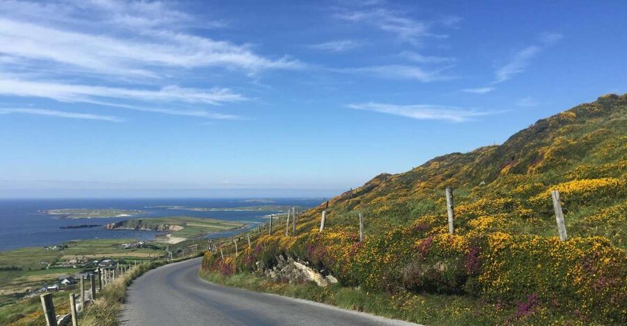 From Dublin: Connemara and Galway Bay Day Tour - Key Things I’d Plan Around on This Connemara Day Trip