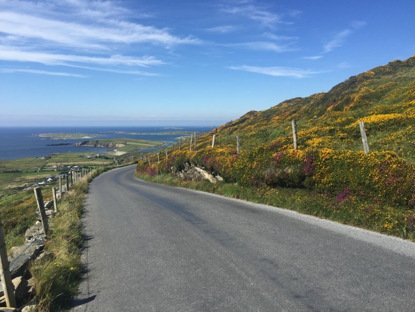 From Dublin: Connemara and Galway Bay Day Tour - Galway and Connemara, How the Trip Feels on the Ground