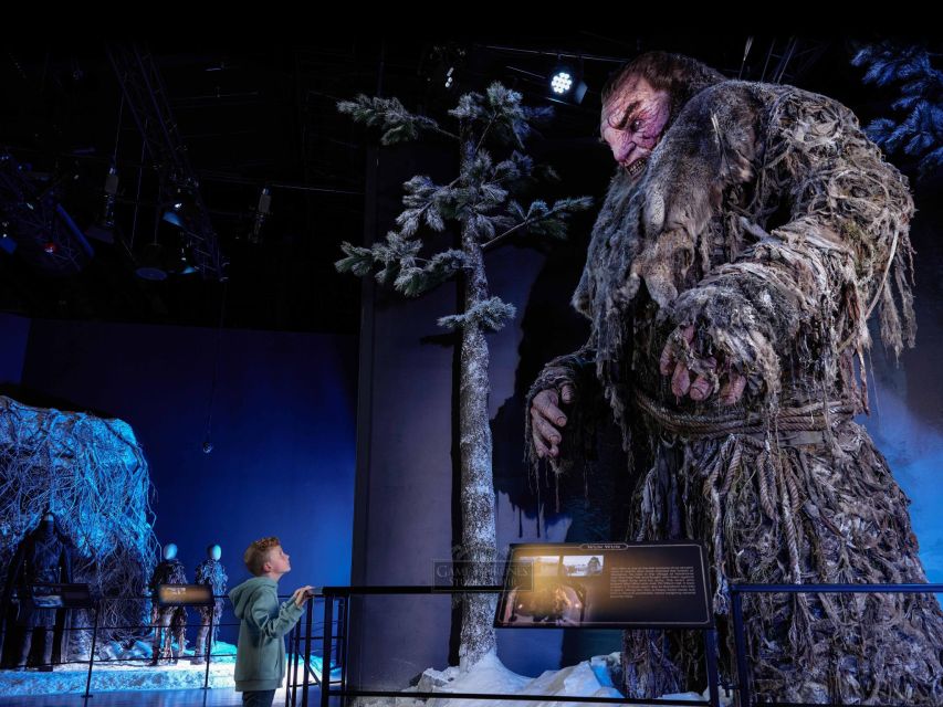 From Dublin: Game of Thrones Studio Tour with Coach Transfer - Who Should Book This Dublin Coach Tour (and Who Might Not)