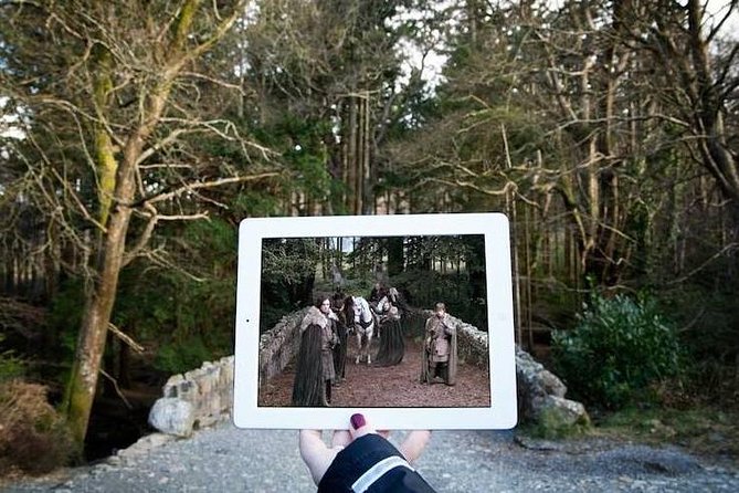 From Dublin: Game of Thrones Winterfell Locations Trek - Tollymore Forest Park, a real walk through old woodland