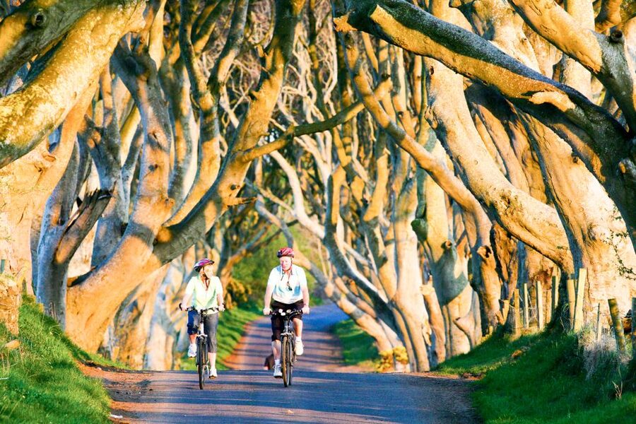 From Dublin: Giant's Causeway & Belfast Titanic with Ticket - Giant’s Causeway: UNESCO Rock Math You Can Actually Walk