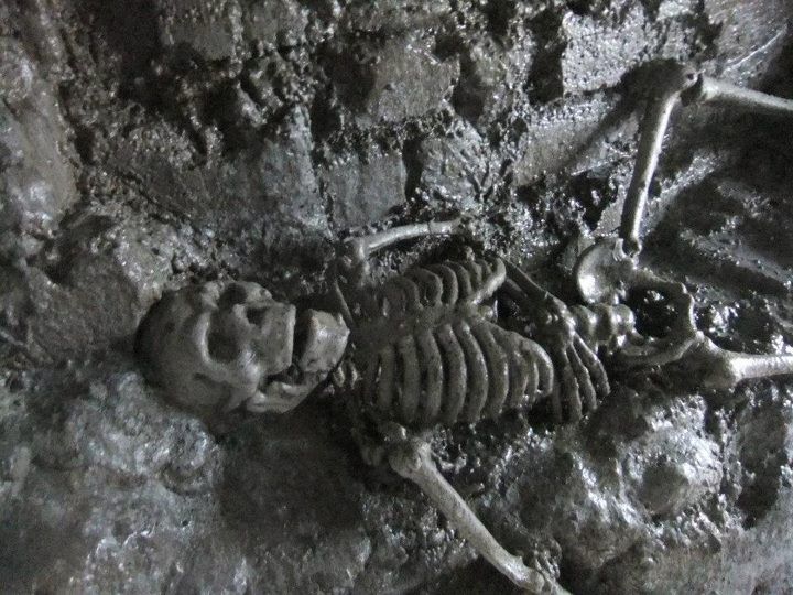 From Dublin: Gravedigger Ghost Bus Tour - Price and Logistics: Is $34 Good Value?