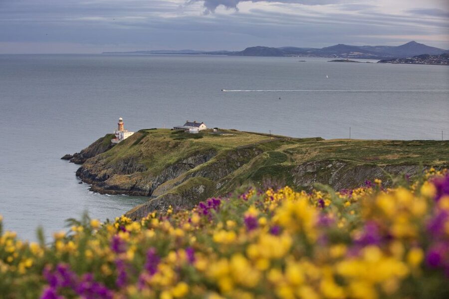 From Dublin: Half-Day Guided Coastal Tour to Howth Village - Key highlights worth your attention