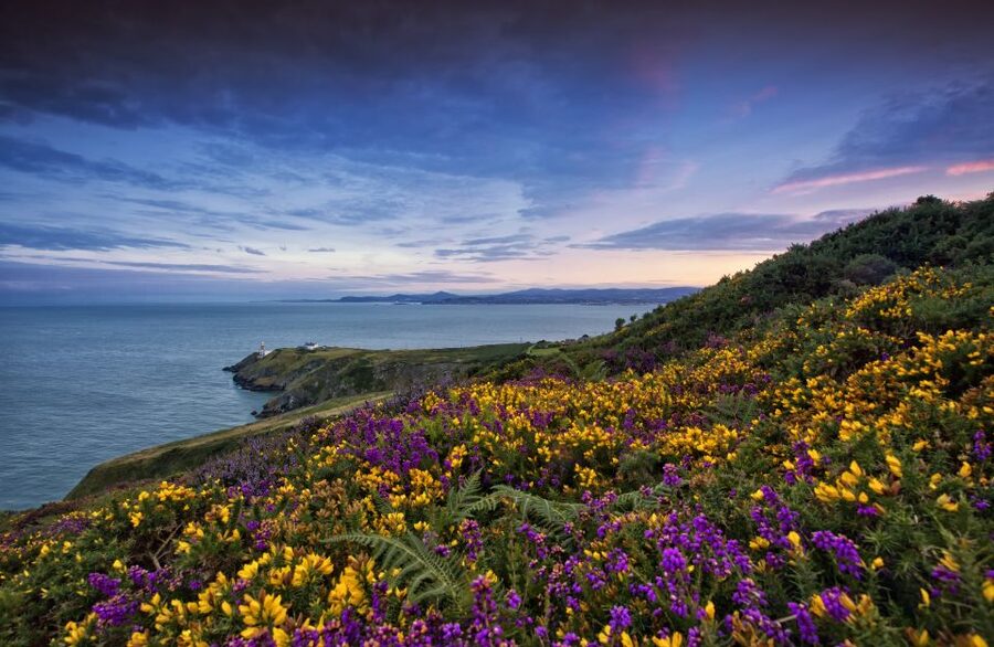 From Dublin: Half-Day Guided Coastal Tour to Howth Village - The coach ride: getting your bearings before you hit the cliffs