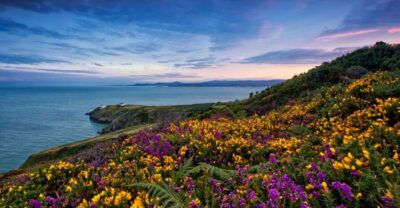 Half-Day Guided Coastal Tour to Howth Village