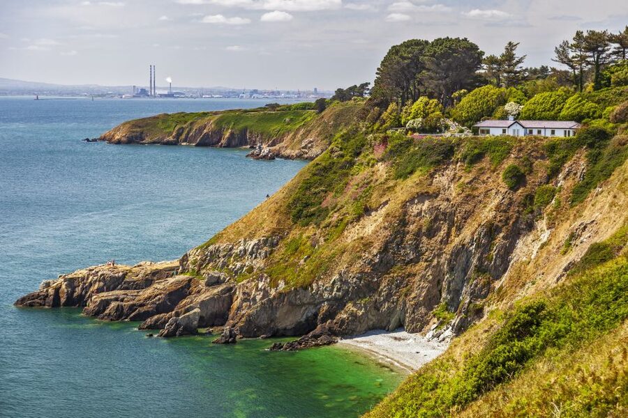 From Dublin: Half-Day Guided Coastal Tour to Howth Village - Howth Cliff Walk: sea birds, wind, and where the best views usually are