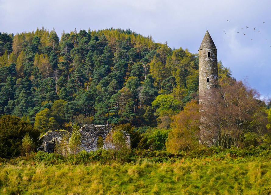 From Dublin: Half-Day Trip to Glendalough and Wicklow - The half-day rhythm that keeps Glendalough from feeling rushed
