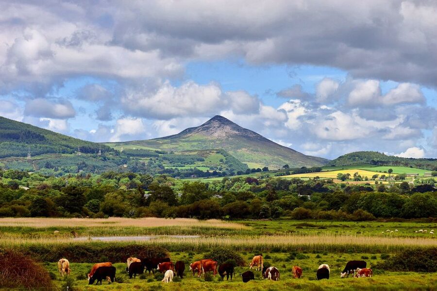 From Dublin: Wicklow Mountains, Glendalough & Kilkenny Tour - Value for Around $45: What Your Ticket Actually Covers