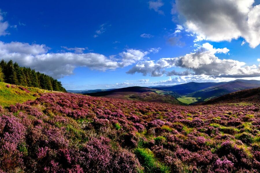 From Dublin: Wicklow Mountains, Glendalough & Kilkenny Tour - Morning Start From The Gresham, Right by The Spire