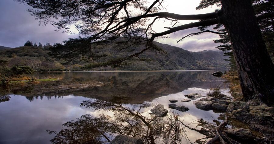 From Dublin: Wicklow Mountains, Glendalough & Kilkenny Tour - The Upper Lake Option: Pick a Short Walk or a Longer Route