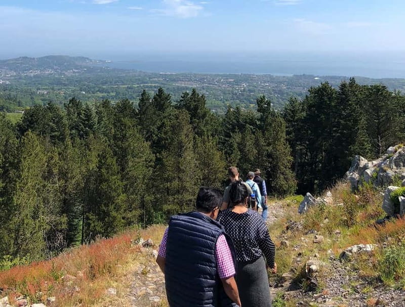 From Dublin: Wicklow, Powerscourt, and Glendalough Day Tour - Price and value: is $74 from Dublin a fair deal?