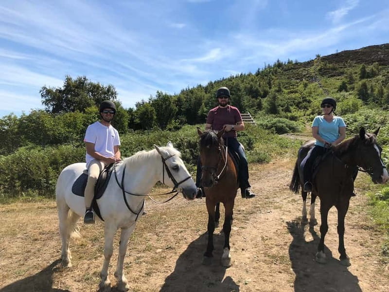 From Dublin: Wicklow, Powerscourt, and Glendalough Day Tour - Who should book this Wicklow day trip, and who should pass