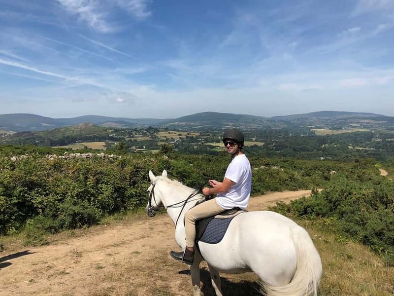 From Dublin: Wicklow, Powerscourt, and Glendalough Day Tour - Enniskerry lunch stop: the best place to recharge