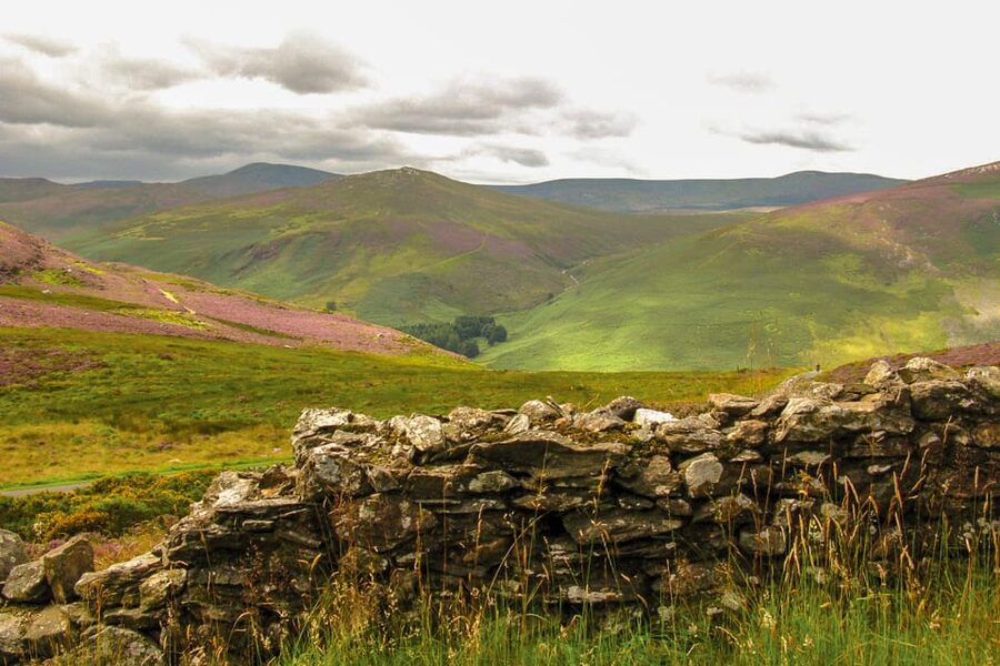 From Dublin: Wild Wicklow Mountains and Glendalough Tour - Sally Gap and Wicklow Mountains National Park: big views you can actually reach