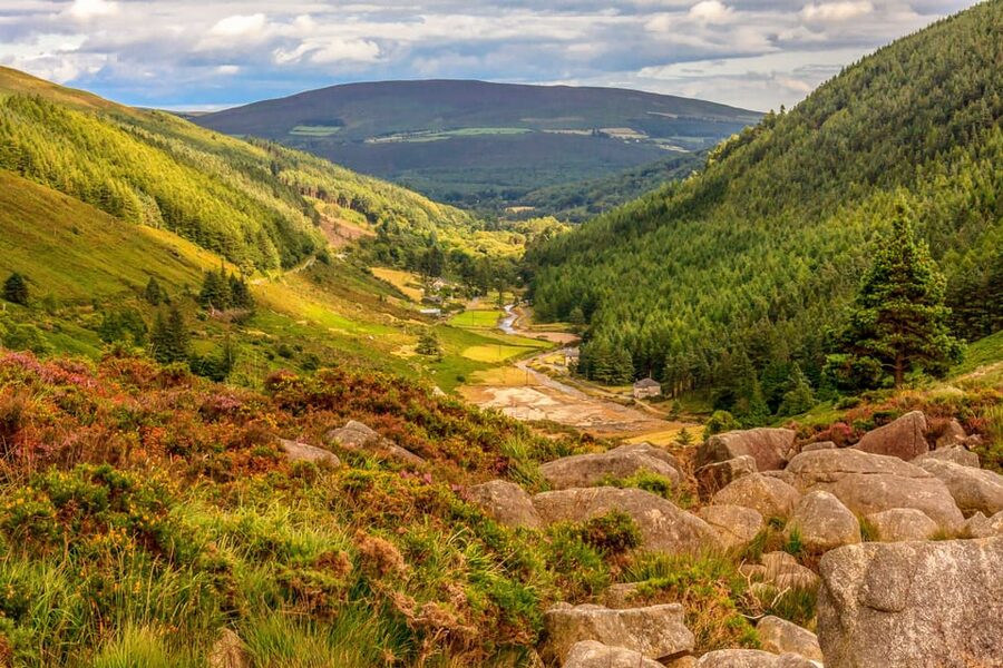 From Dublin: Wild Wicklow Mountains and Glendalough Tour - Lynhams of Laragh lunch: where your day regains energy