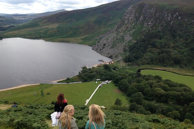 Full Day Private Wicklow Tour - Sally Gap Mountain Pass and Movie-Linked Views
