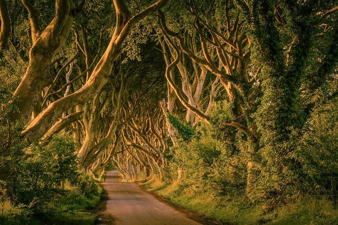 Giant Causeway, Dark Hedges & Whiskey Distillery tour from Dublin - Dunluce Castle: the cliff fortress views and the pop-culture bonus