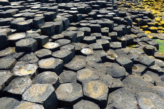 Giant's Causeway Custom Tailored Award Winning Private Tour. - Getting from Dublin and Belfast without turning your day into logistics