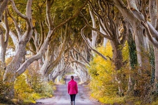Giants Causeway and Belfast 2 Days with Private Chauffeur Tour - Price and logistics: what you’re paying for, and what to budget
