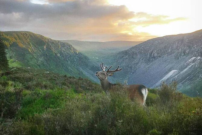 Glendalough Night Hike and History Tour - Entering Glendalough after dusk, on purpose