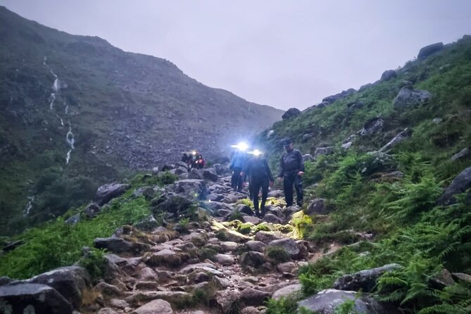 Glendalough Night Hike and History Tour - Sika deer at dusk and the miners village pause