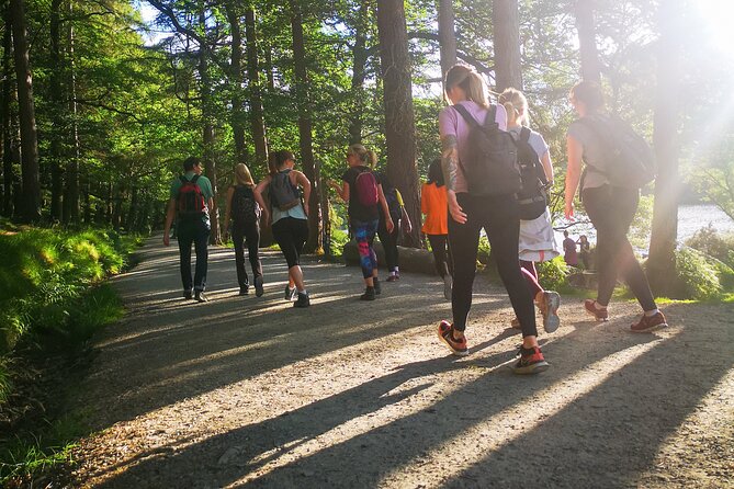 Glendalough Night Hike and History Tour - Head lamps, pacing, and staying steady on uneven ground