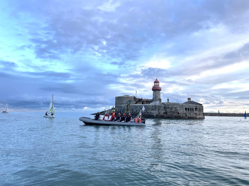 Guided Boat Tour around Dublin Bay - Wildlife spotting you can actually plan for: dolphins, seals, and seabirds