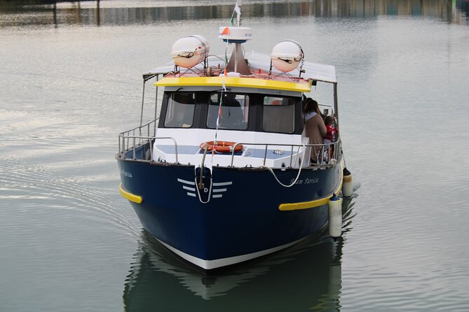 Howth Cliffs and Ireland's Eye Ferry Boat Tour - How This Howth Cliffs and Ireland’s Eye Cruise Beats a Long Shore Walk