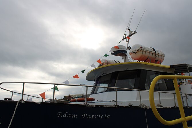 Howth Cliffs and Ireland's Eye Ferry Boat Tour - Ireland’s Eye Nature Reserve: Seals, Birds, and the Kirwan Story