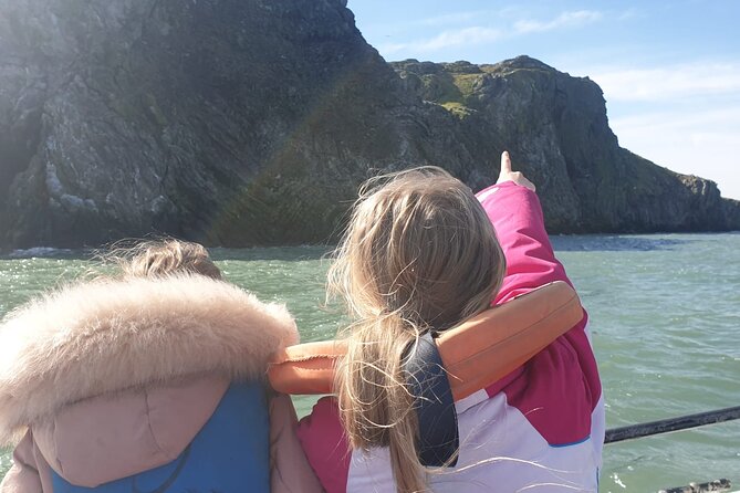 Howth Cliffs and Ireland's Eye Ferry Boat Tour - Getting to the Boat at Howth Harbour, and What the Puffin Ride Is Like