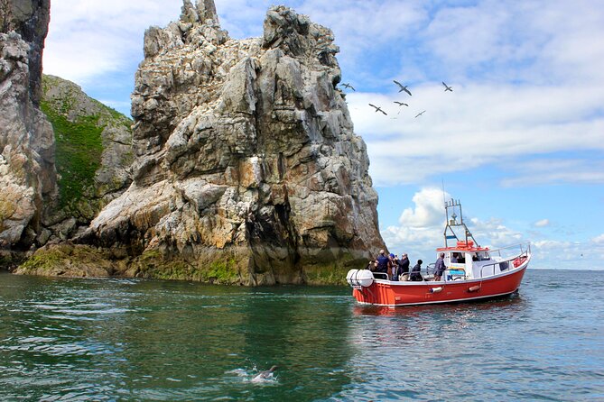 Howth Coastal Boat Tour (Ireland's Eye Ferries 50 mins trip) - Key highlights to know before you go