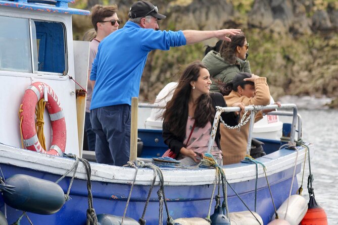 Howth Coastal Boat Tour (Ireland's Eye Ferries 50 mins trip) - Howth Pier and the small-boat vibe you will feel fast