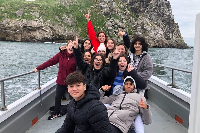 Howth Coastal Boat Tour (Ireland's Eye Ferries 50 mins trip) - Price and value: what you get for about $30 per person