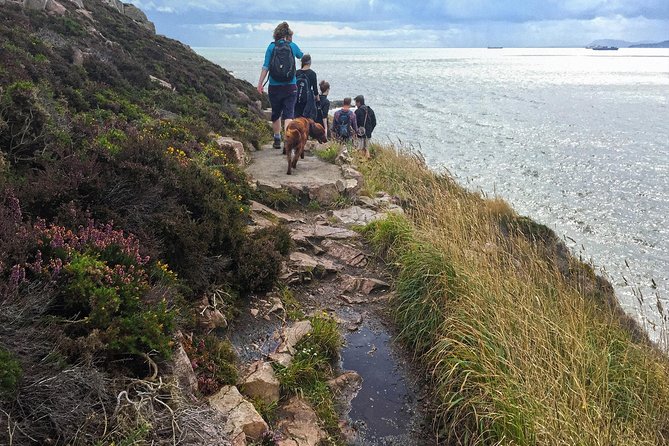 Howth Safari Hiking Tour - Meet the guides, hear the stories, and say hello to Loki